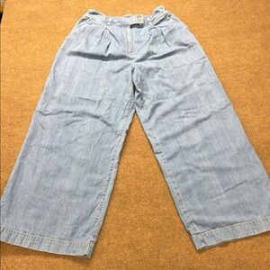 Jenni Kayne Newport Trouser Womens 8 Blue Denim Pleated Wide Leg Jeans